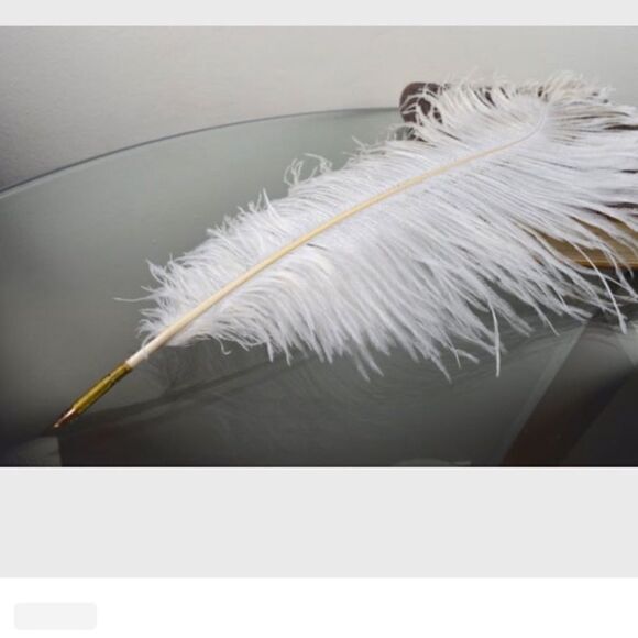 Quill Pen White Ostrich Feather Wedding Guest Book - Picture 1 of 1